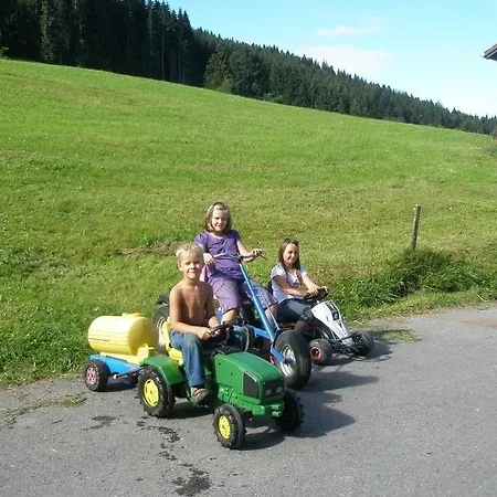 Lindenhof * זולצברג