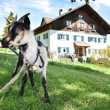 Lindenhof דירה *